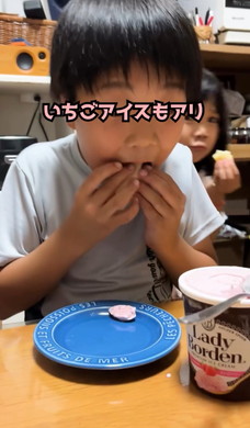 生八ツ橋の皮の食べ方