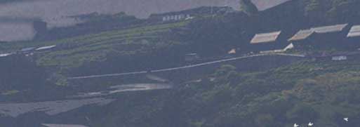 コンセプトアート