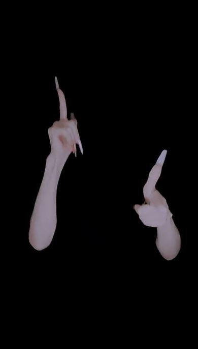 手だけで踊るブリンバンバンボン