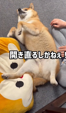 パパに邪魔しないでほしいワンコ