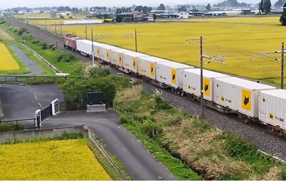 クロネコとカンガルー