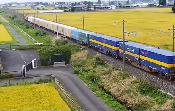 クロネコとカンガルー