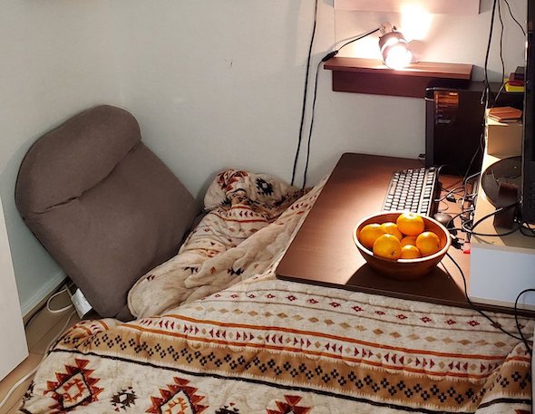 ワクワクしながら作った秘密基地。しかし、直後に娘さんたちに奪われることに