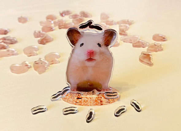 ハムスターのアクリルプレート