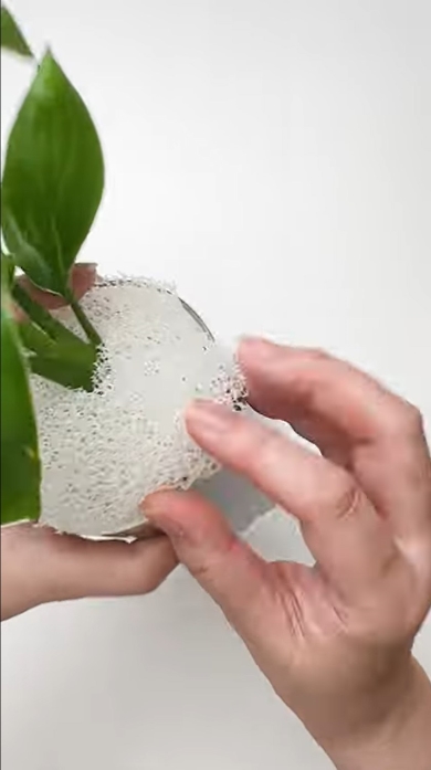 ダイソーのスポンジ