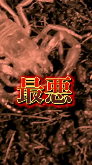 飼い始めたサソリが真っ白になっていたので天に召されたと思った投稿者