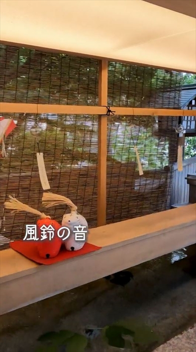 日本の情緒豊かな美しさに感動するフランス人