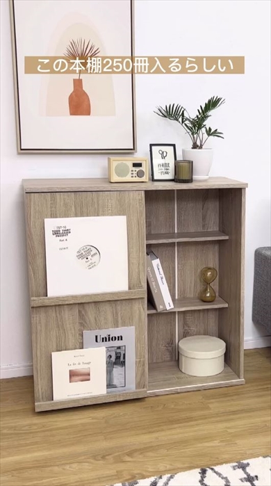 LOWYAの250冊入る本棚