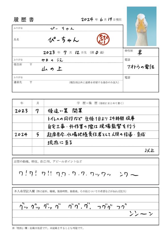 アヒルの履歴書