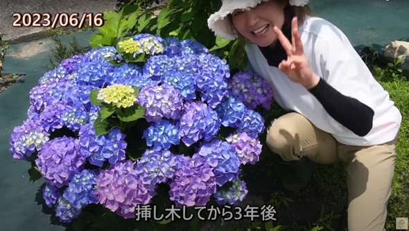 3年目は昨年から2倍の大きさに成長