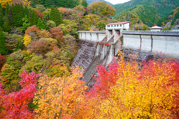 官公庁オークションに霊きゅう車