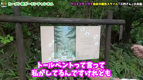 苗を買わずに作った美しい庭