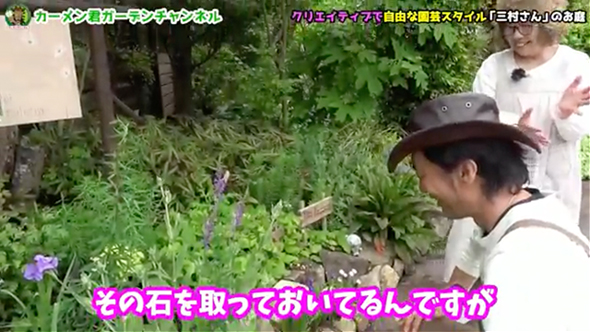 苗を買わずに作った美しい庭