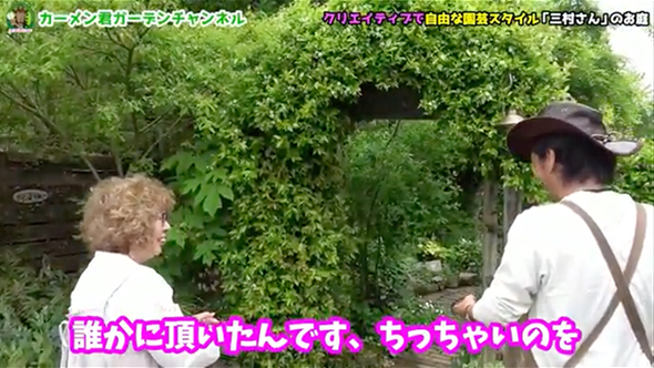 苗を買わずに作った美しい庭