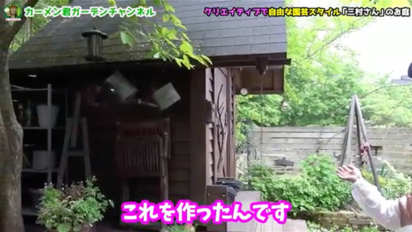 苗を買わずに作った美しい庭