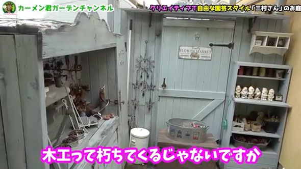 苗を買わずに作った美しい庭