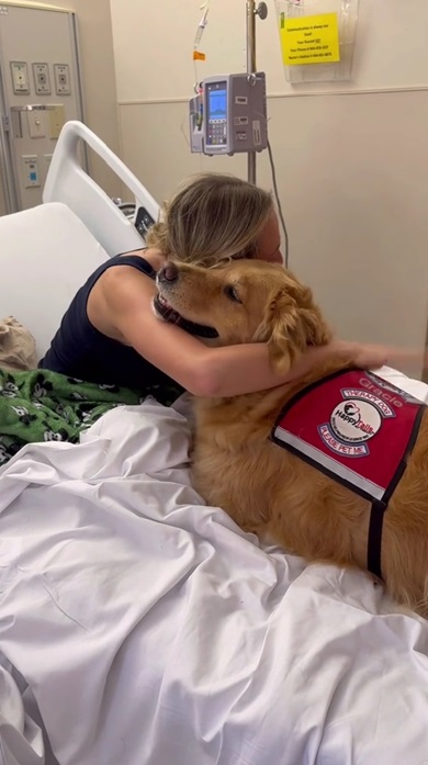 セラピードッグ