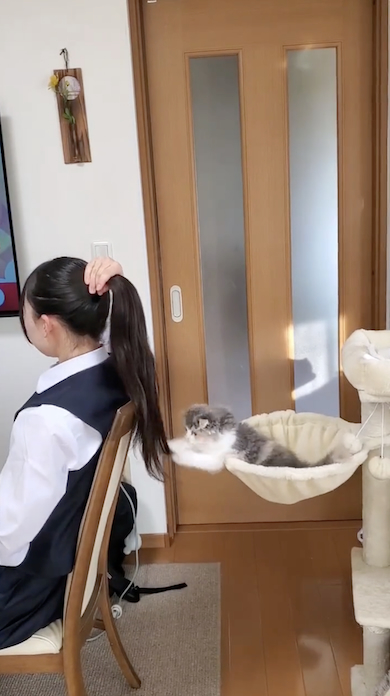 髪で遊ぶ猫