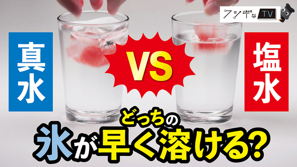 自由研究の救世主03