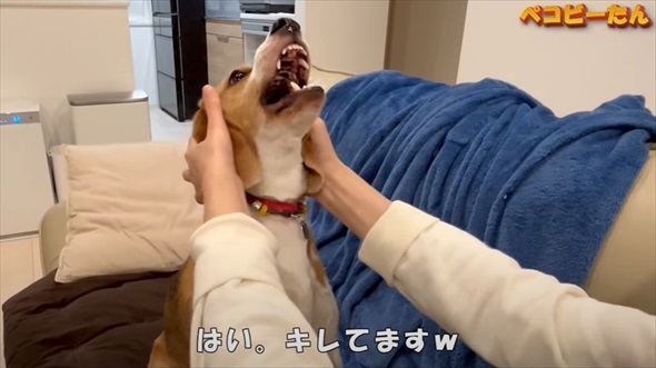 ママとパパへの態度が違いすぎる犬