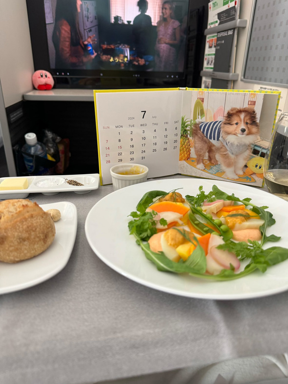 叔母 ドイツ 海外 出張 写真 カービィ ぬいぐるみ 一緒