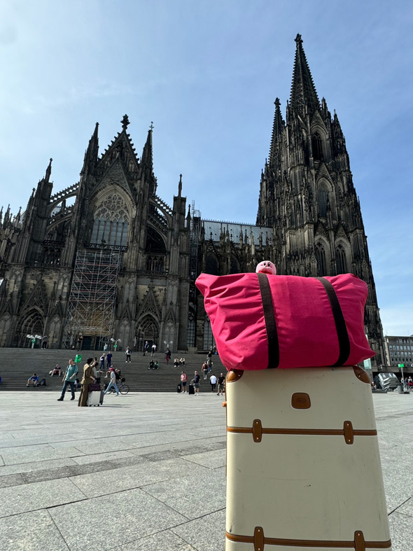 叔母 ドイツ 海外 出張 写真 カービィ ぬいぐるみ 一緒