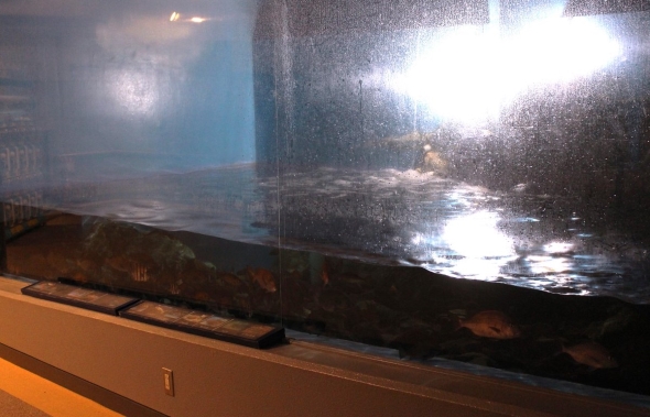 仮設照明でいつもよりも暗い「能登と海と」