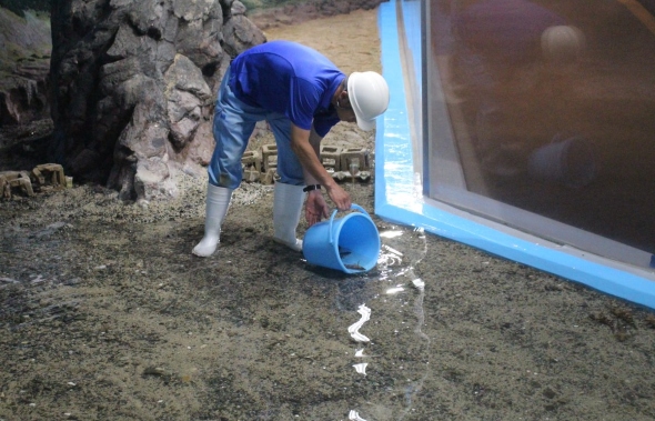 「能登と海と」のコーナーに魚を戻す