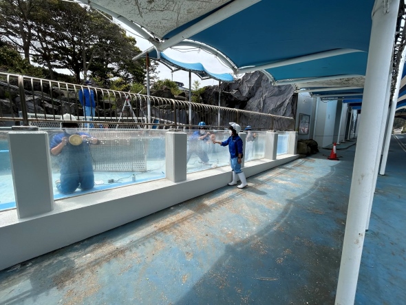 ペンギンプール復旧