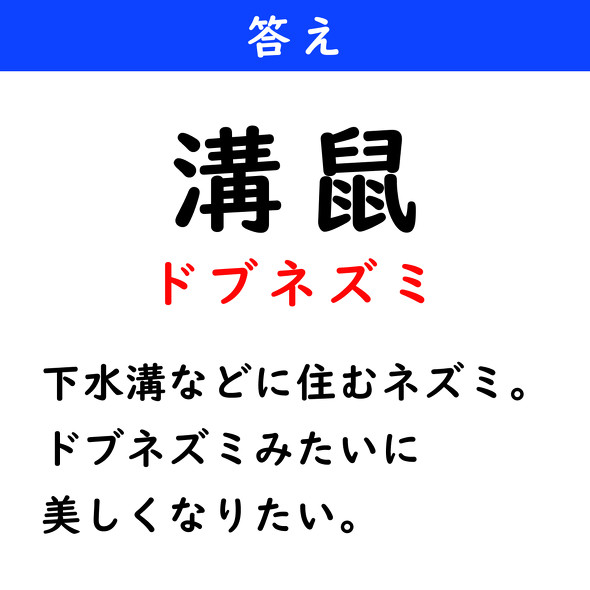 漢字クイズ　難読漢字　溝鼠