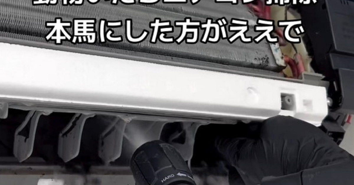 子どもが「エアコンつけたら咳が出る」と言うので掃除のプロを呼んだ結果……　衝撃的な状態と結末に「言葉を失います」（1/2） | 住まい ねとらぼ