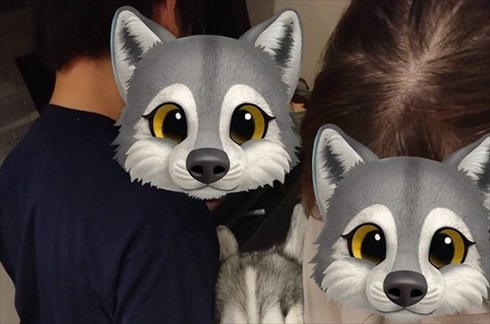 オヤツへの執念でとんでもない表情になったワンコ