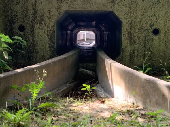 カニさん専用トンネル