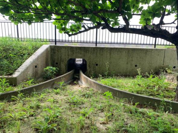 46さんがXに投稿した画像