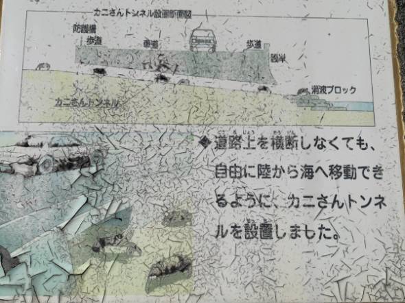 カニさんトンネル設置横断面