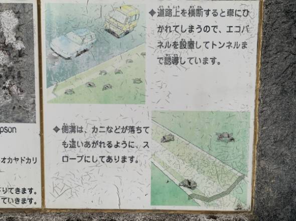 46さんがXに投稿した画像