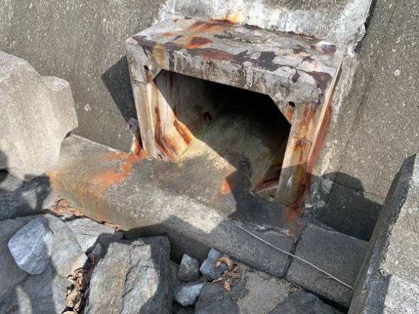 46さんがXに投稿した画像