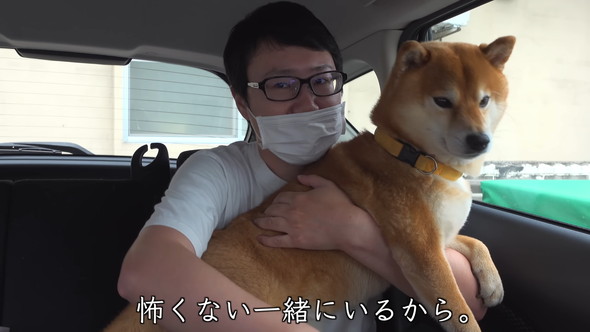 抱っこされているワンコ