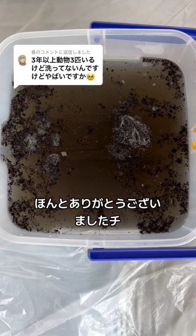 エアコン掃除