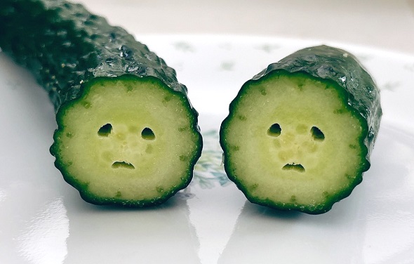 悲しそうなきゅうり02