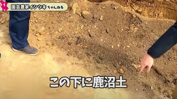 鹿沼土の採掘現場