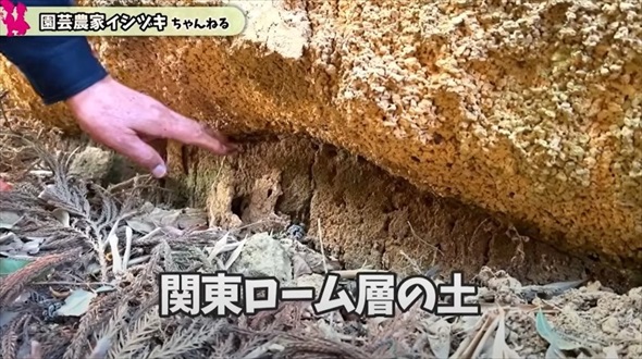 鹿沼土の採掘現場