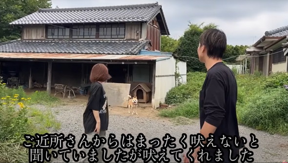 6年外につながれっぱなしのワンコ