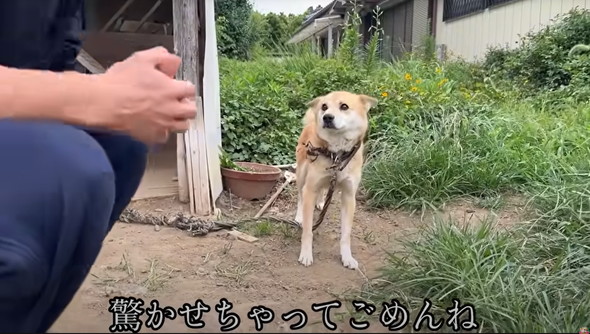 6年外につながれっぱなしのワンコ