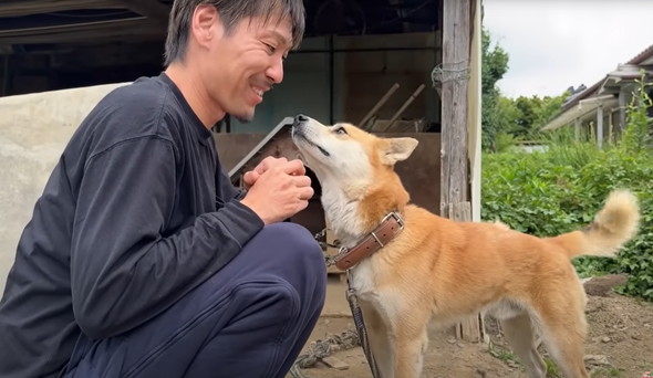 6年外につながれっぱなしのワンコ