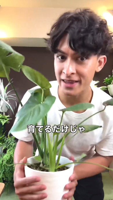 無限にモンステラ増やす方法