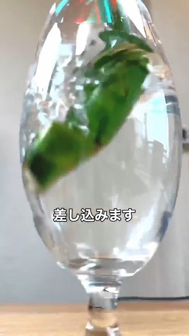 無限にモンステラ増やす方法