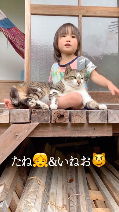 三女の膝でまったりする猫、ちょっとのイタズラも…… 130万再生の