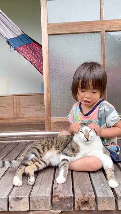 三女と仲良しな猫