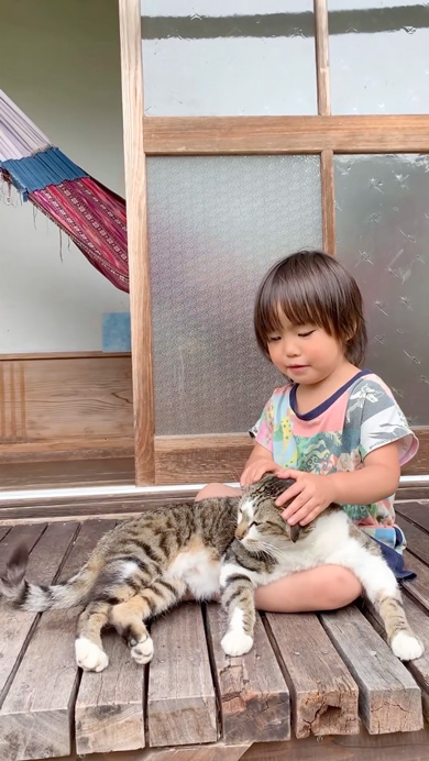 三女と仲良しな猫